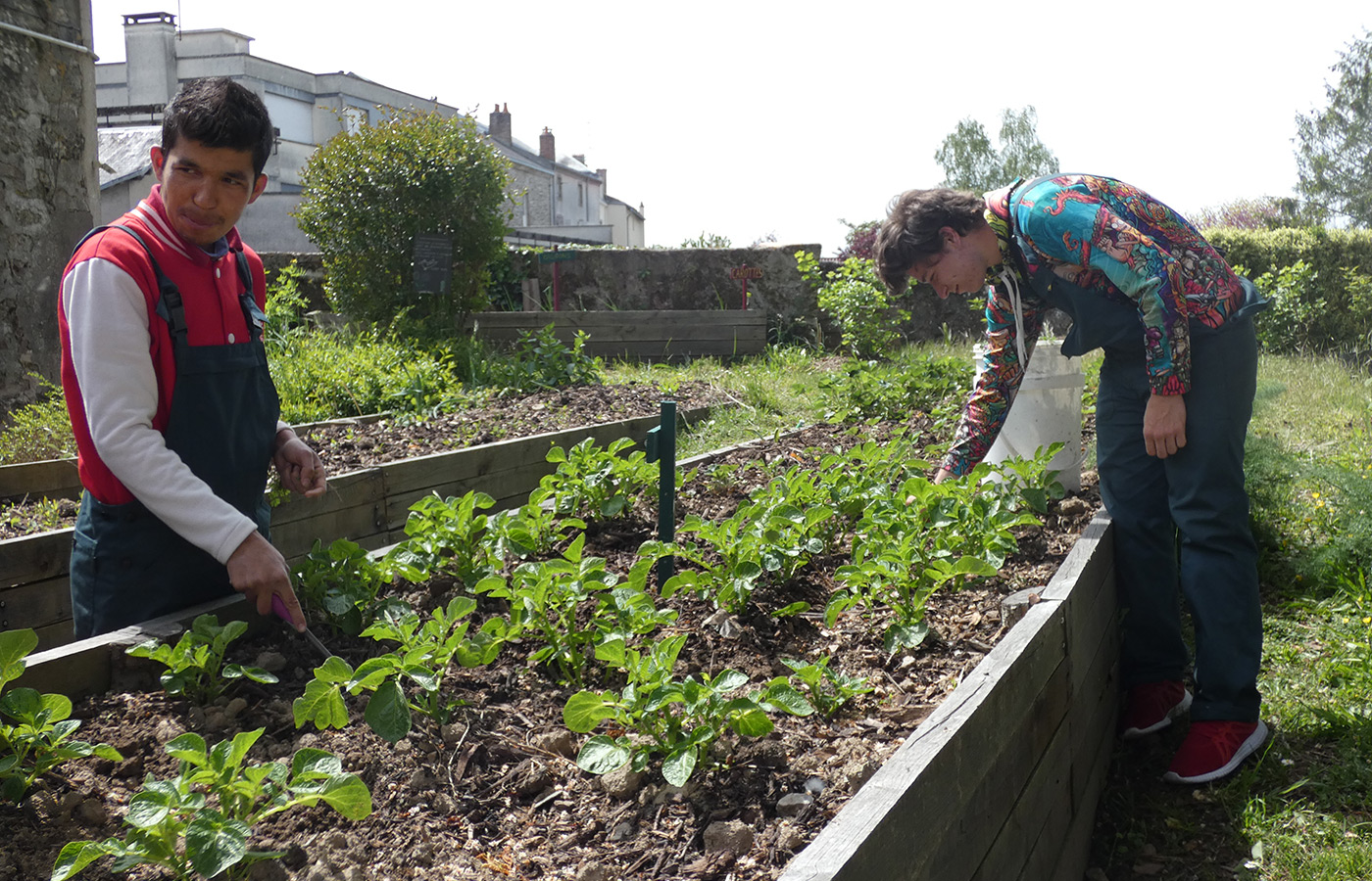 jardin partagé toit en gatine